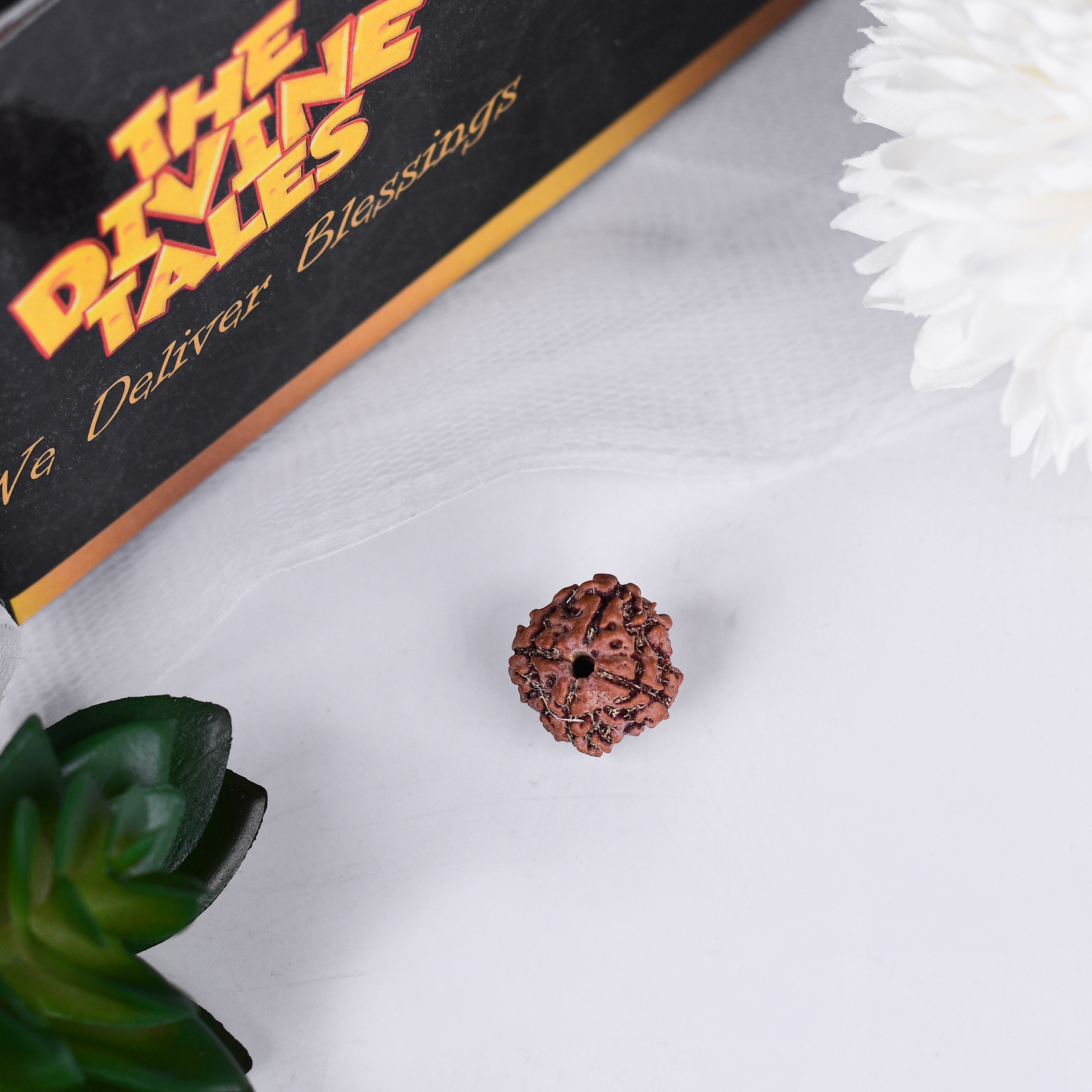 4 Mukhi Rudraksha With Lab Certificate